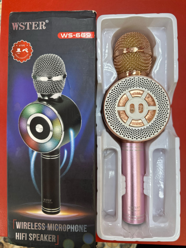 Микрофон  Wster WS-669